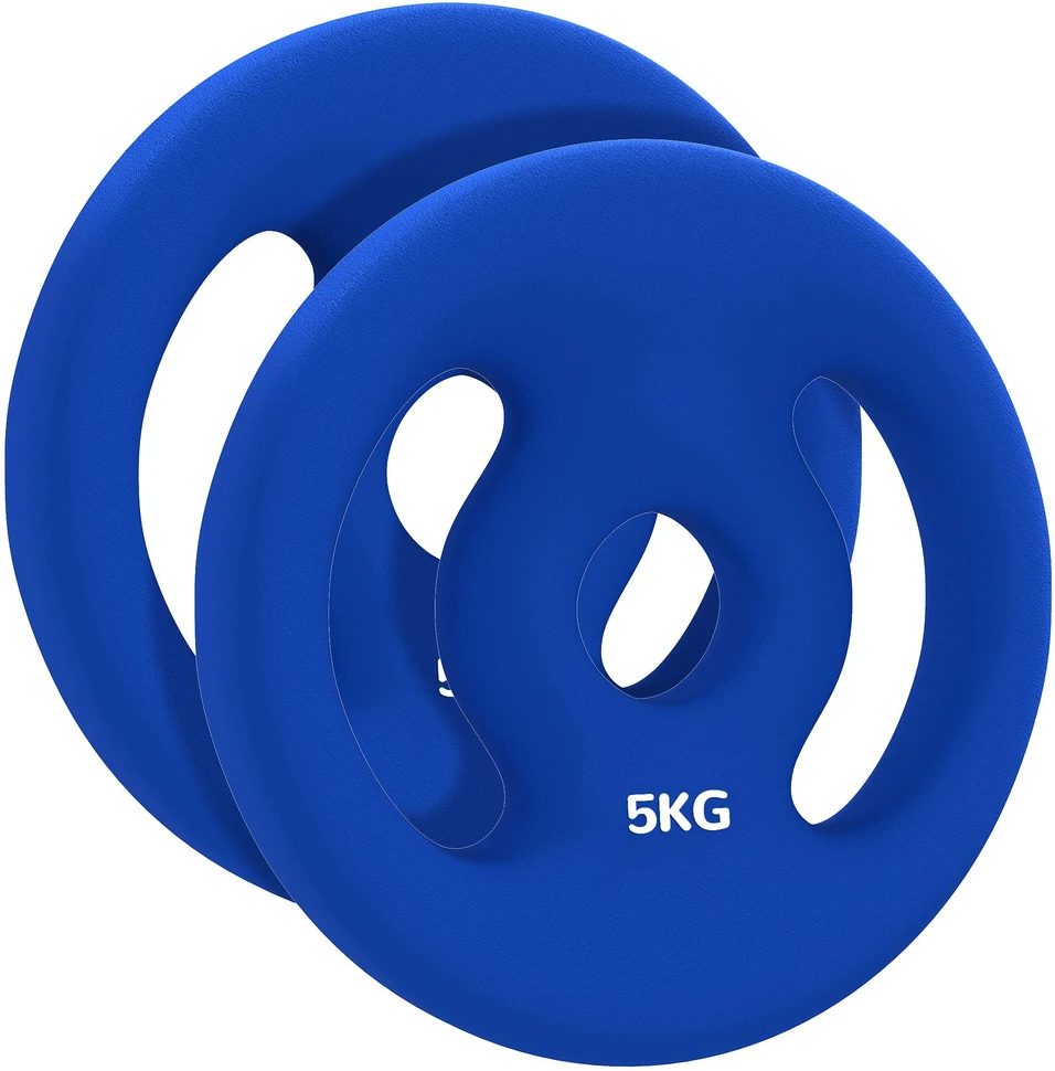 SPORTNOW 2 hantelių svarmenų rinkinys, 2 x 5kg svarmenys, svarmenų plokštelių rinkinys, svarmenų plokštelės 2,5 cm hantelio strypui, Ø 30 mm skylė, mėlynos spalvos