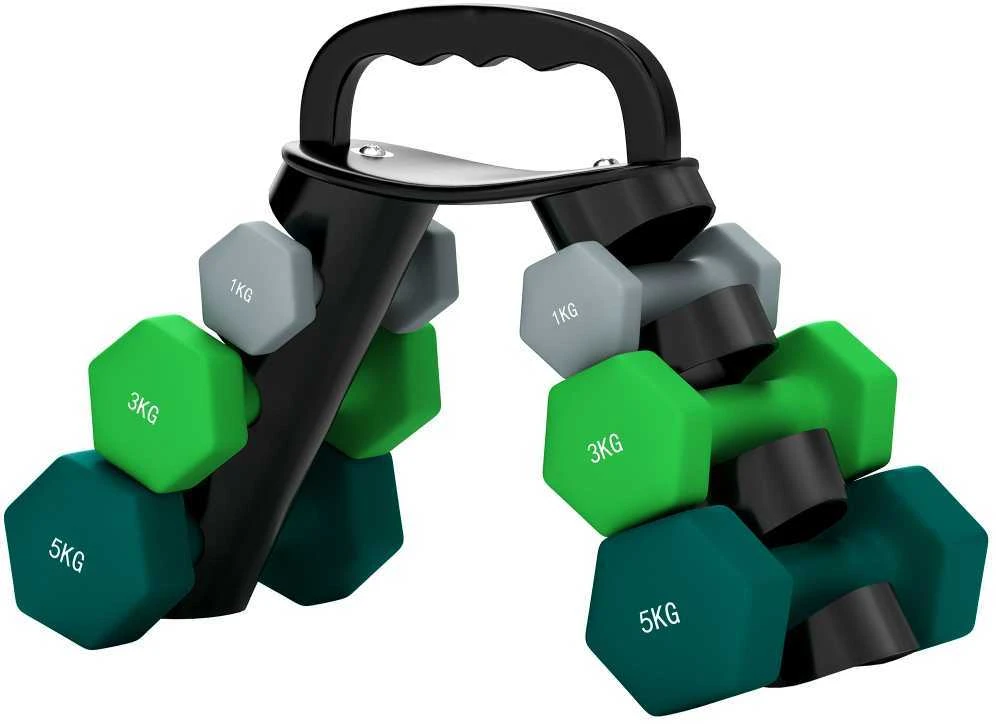 SPORTNOW hantelių rinkinys, 6 vienetai su sulankstomu stovu, 2 x 1kg, 2 x 3kg, 2 x 5kg hanteliai, skirti fitnesui, gimnastikai, namams