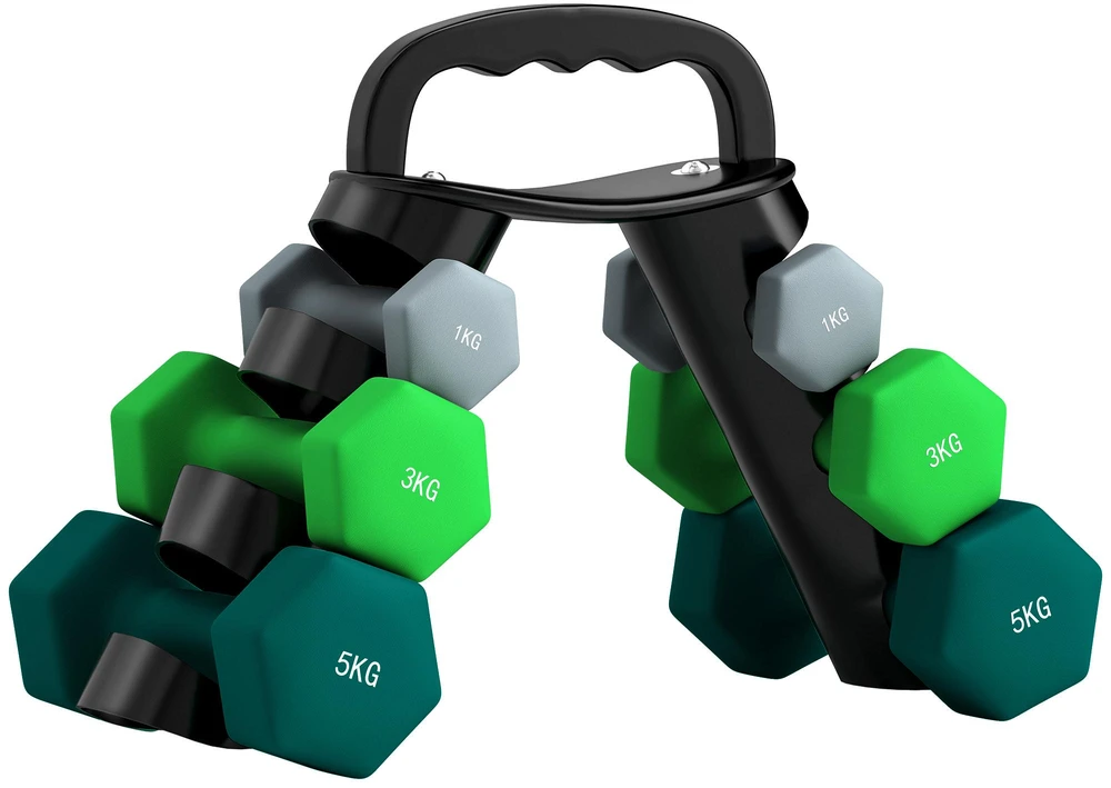 SPORTNOW hantelių rinkinys, 6 vienetai su sulankstomu stovu, 2 x 1kg, 2 x 3kg, 2 x 5kg hanteliai, skirti fitnesui, gimnastikai, namams