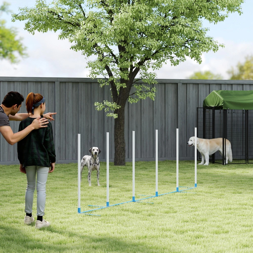 PawHut šunų slalomo stulpų agility treniruočių rinkinys su 600D krepšiu, polietileno plastikas, balta ir mėlyna spalvos, 305 x 60 x 94 cm