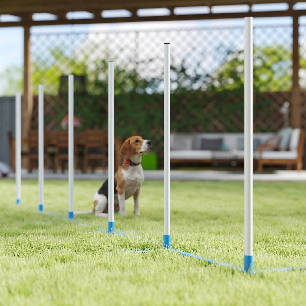 PawHut šunų slalomo stulpų agility treniruočių rinkinys su 600D krepšiu, polietileno plastikas, balta ir mėlyna spalvos, 305 x 60 x 94 cm