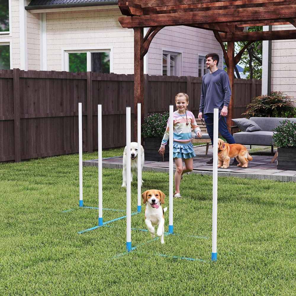 PawHut šunų slalomo stulpų agility treniruočių rinkinys su 600D krepšiu, polietileno plastikas, balta ir mėlyna spalvos, 305 x 60 x 94 cm