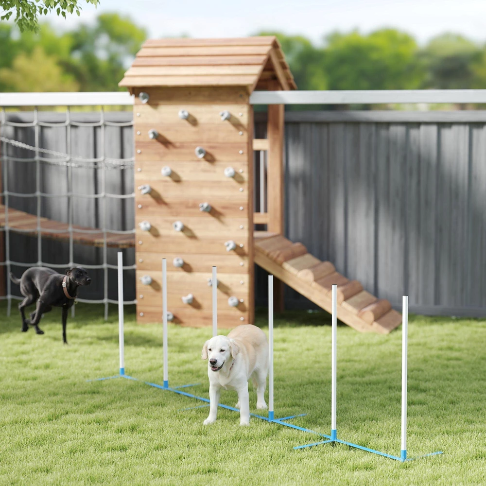 PawHut šunų slalomo stulpų agility treniruočių rinkinys su 600D krepšiu, polietileno plastikas, balta ir mėlyna spalvos, 305 x 60 x 94 cm