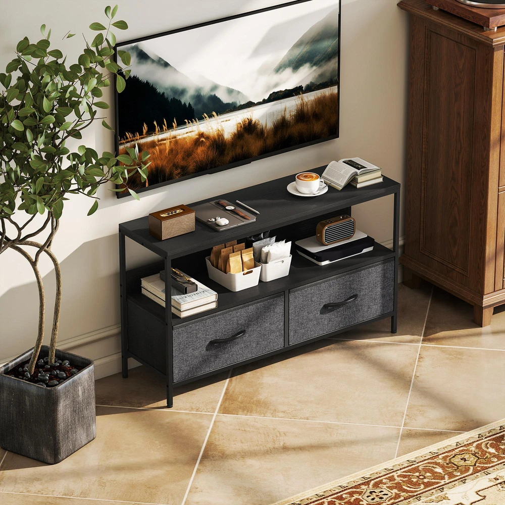 TV staliukas su 2 stalčiais, atvira niša, skirta televizoriams iki 47 colių, 98 x 29 x 56 cm, Juoda+Tamsiai pilka