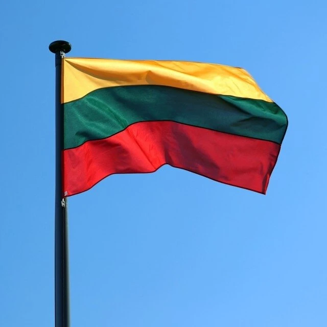 Epigone Siūta Stiebinė Lietuvos Vėliava