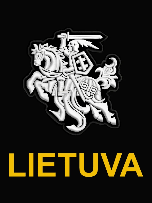 KS Džemperis Stilizuotas Vytis, Dydis: L