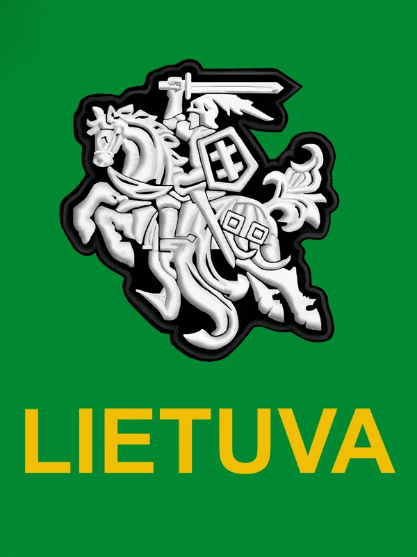 KS Džemperis Stilizuotas Vytis, Dydis: M