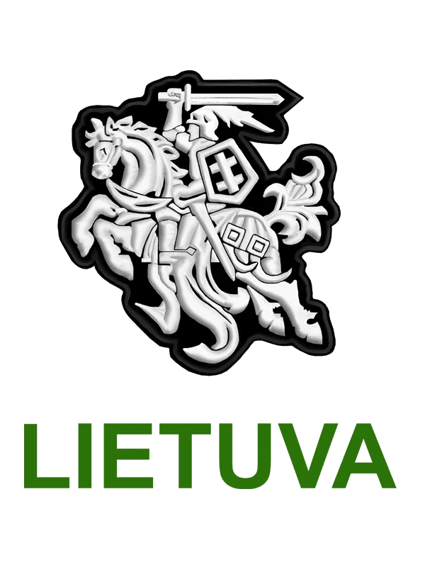 KS Moteriški Polo Marškinėliai Stilizuotas Vytis, Dydis: L