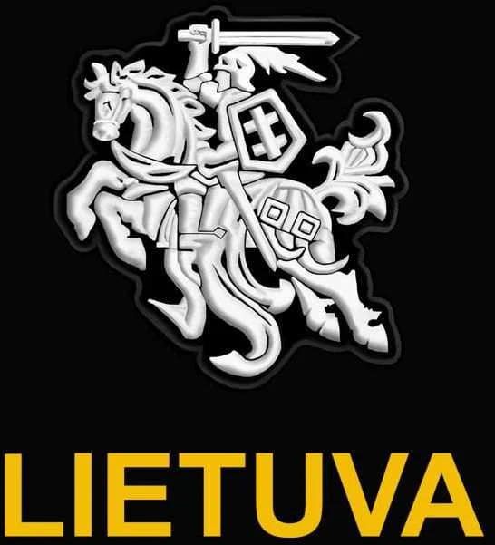 KS Polo Marškinėliai Stilizuotas Vytis, Dydis: M