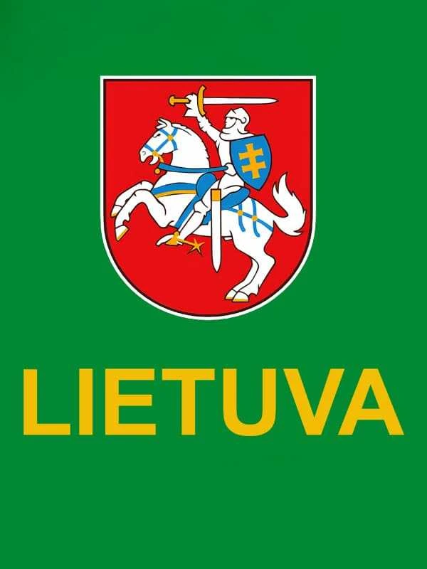 KS Polo Marškinėliai Vytis, Dydis: S