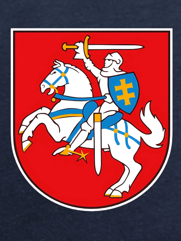 KS Vaikiškas Džemperis Vytis Lietuva, Dydis: 6 metai