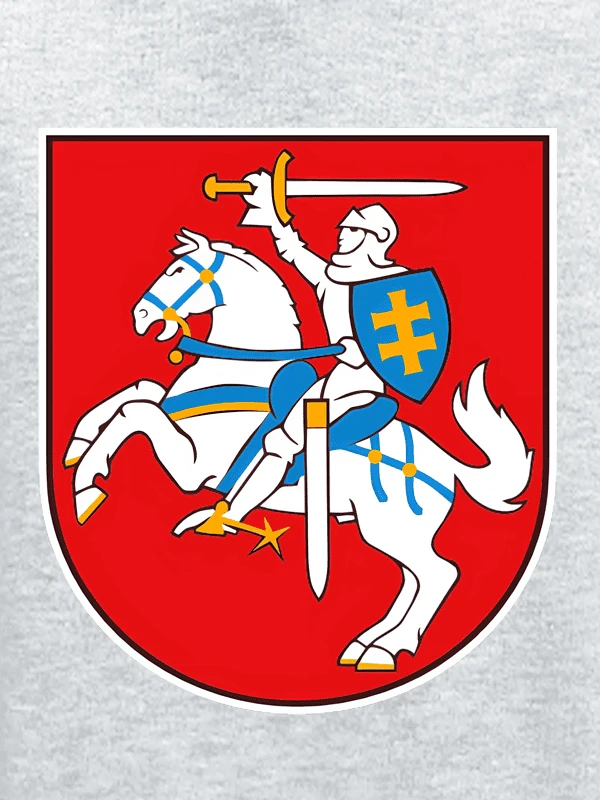 KS Vaikiškas Džemperis Vytis Lietuva, Dydis: 12 metų