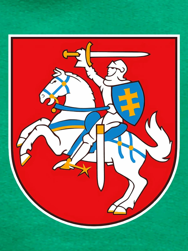 KS Vaikiškas Džemperis Vytis Lietuva, Dydis: 12 metų