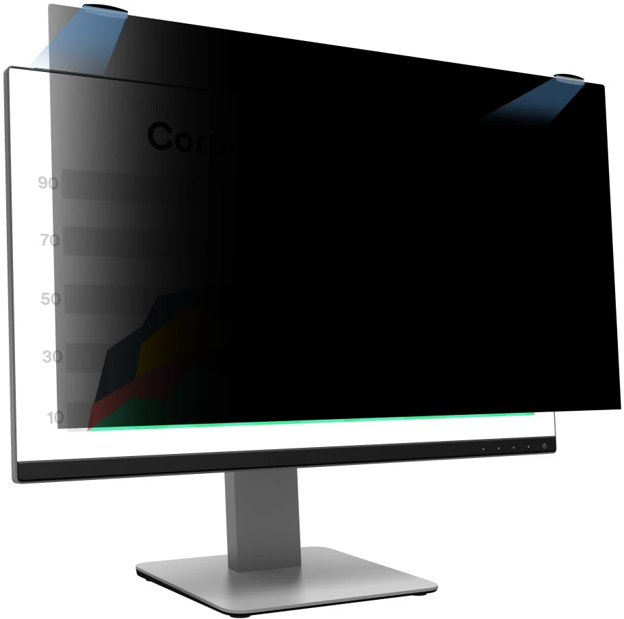 3M privatumo filtras 24" 16:10