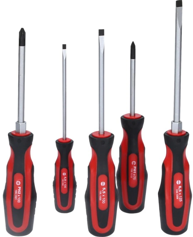 5 dalių atsuktuvų rinkinys KS TOOLS 159.0005