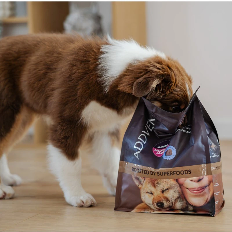 Šunų maistas - ADDVENA Junior Medium/Large jautiena 28.1% Protein Grain-Free 10kg