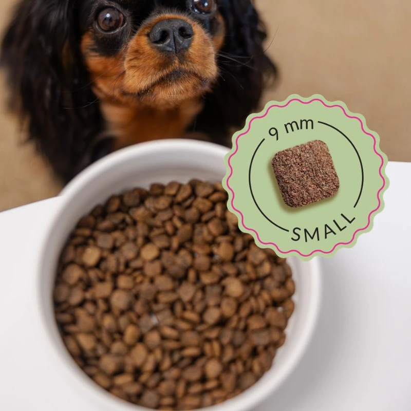 Šunų maistas - ADDVENA Boosted by Superfoods Junior Small jautiena 2.5kg