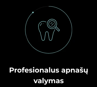AENO Sonic elektrinis dantų šepetėlis, DB8: Baltas, 3 režimai, 3 šepetėlių galvutės + 1 valymo įrankis, 1 veidrodis, 30000 aps./min., 100 dienų be įkrovimo, IPX7