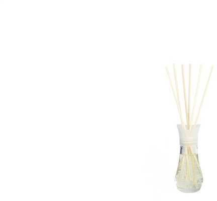 Air Wick kvapiosios lazdelės Paslaptingas sodas 30ml