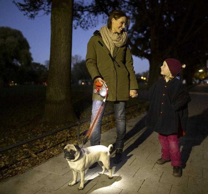 Flexi LED Lighting System žibintuvėlis tinkantis S, M ir L pavadėliams