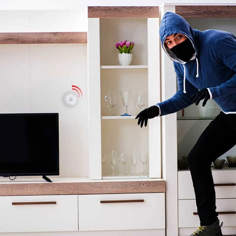 „Alpina“ – išmanusis PIR judesio jutiklis su „Zigbee“ tinklu