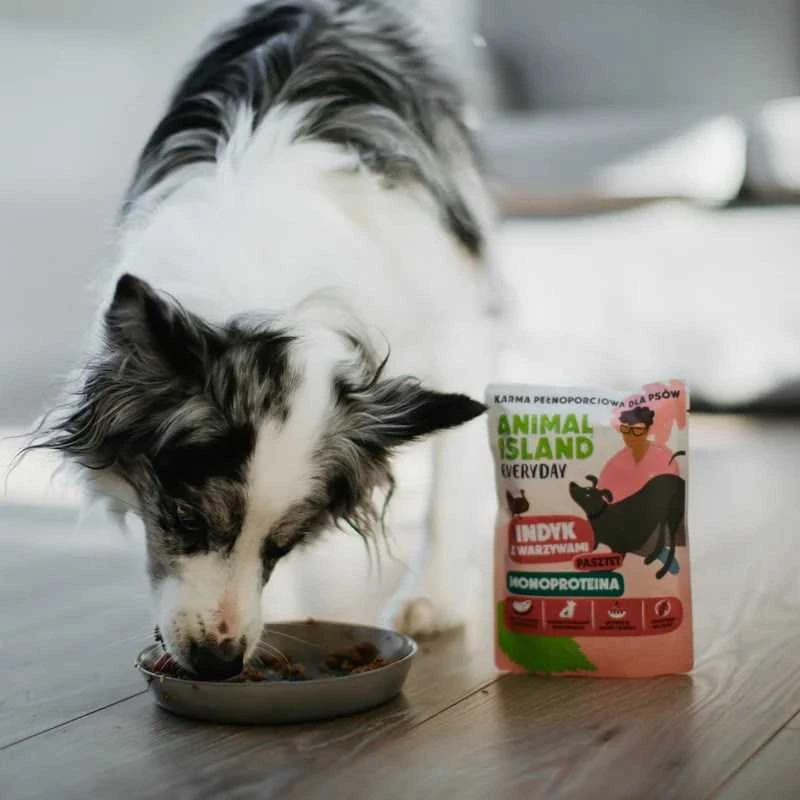 ANIMAL ISLAND Everyday Monoprotein kalakutiena – drėgnas ėdalas šunims – 300g