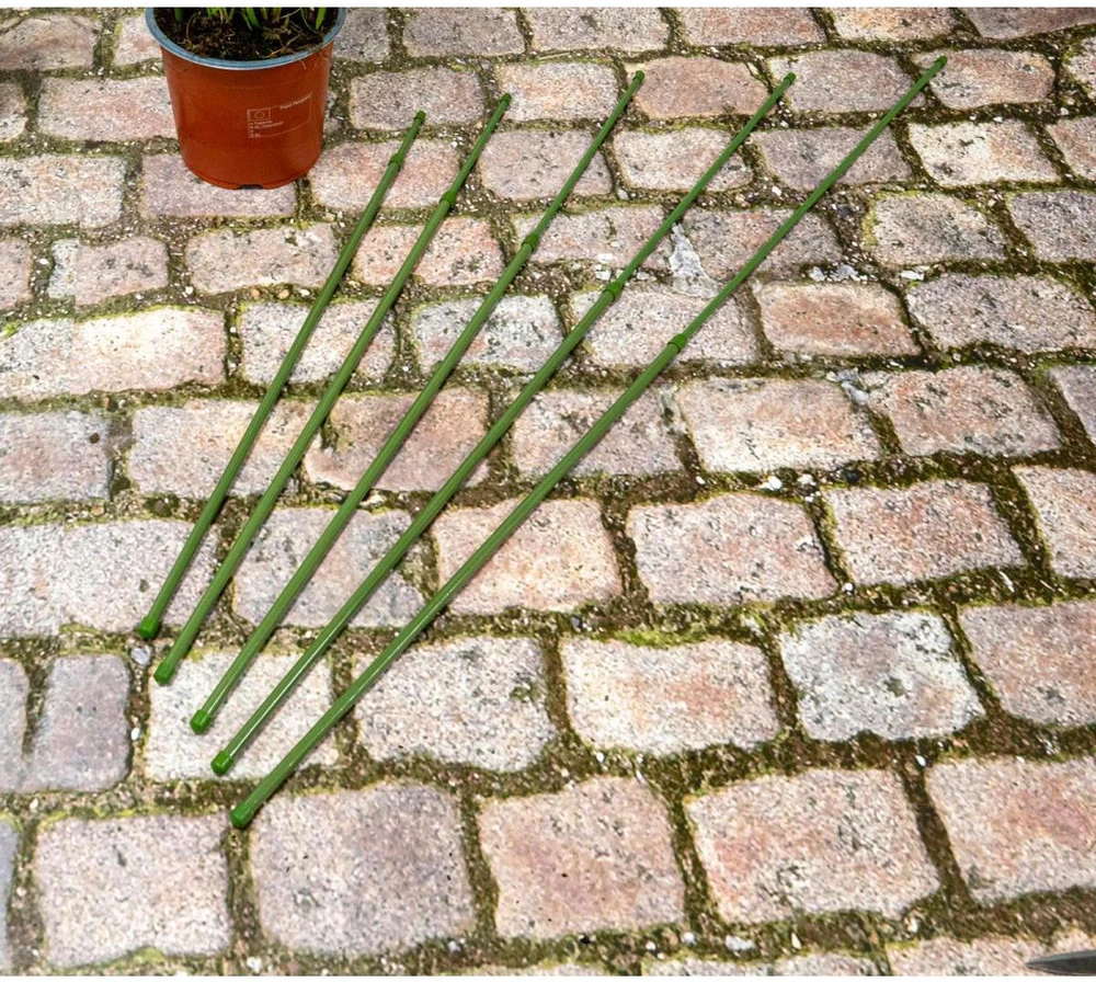AUGALŲ ATRAMA KUOLAS 6VNT. 50-80CM KINZO 122892