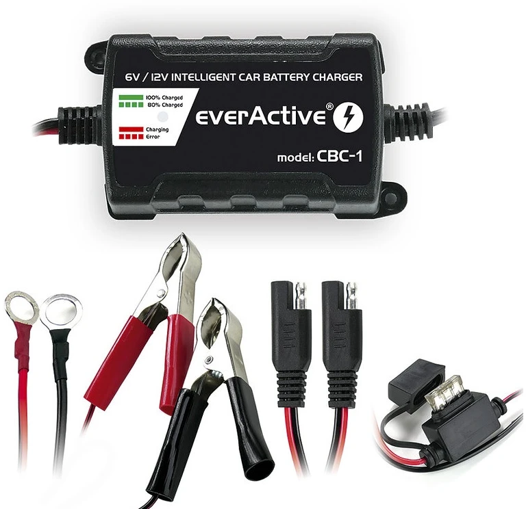 everActive universalus automatinis 6/12V 1000mA akumuliatorių kroviklis
