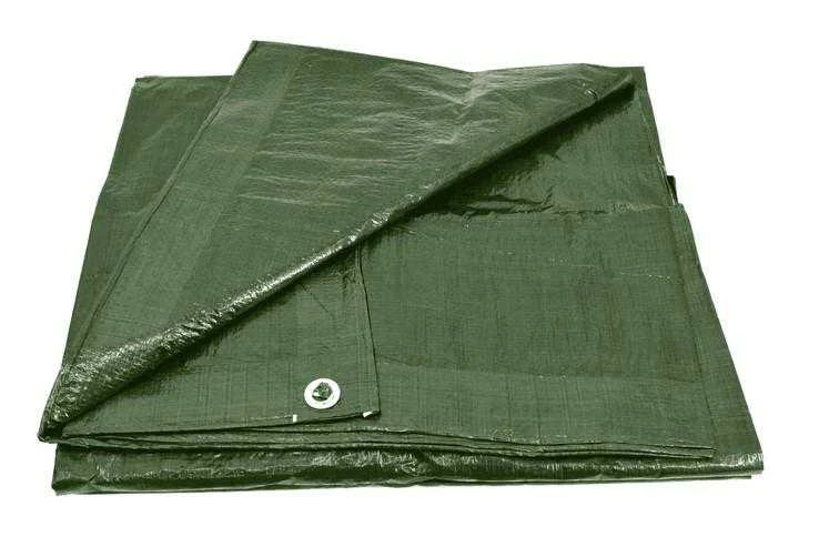 AW-Tools Uždangalas AWTools AW68050; 10x20 m; žalias