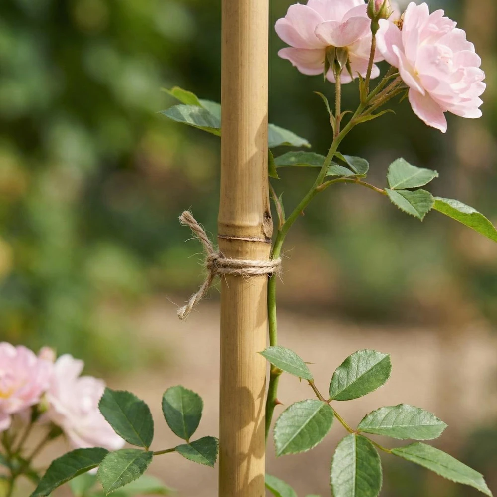 ProGarden bambuko lazdos augalams 60 cm, 10 vnt