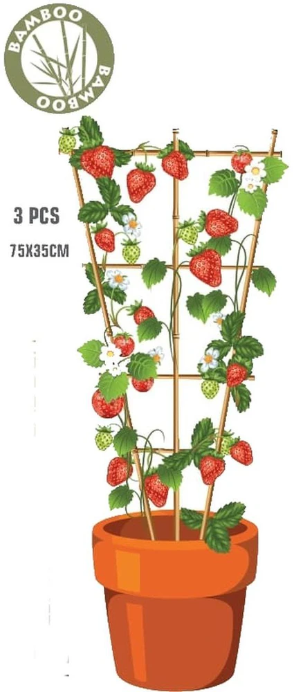ProGarden bambukinės laiptuotos augalų atramos 75 cm 3 vnt