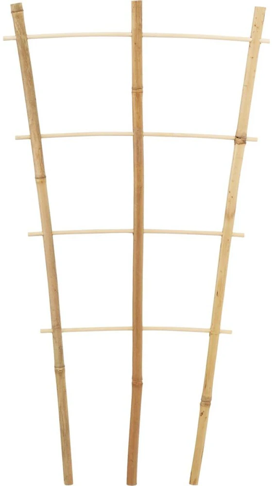 ProGarden bambukinės laiptuotos augalų atramos 75 cm 3 vnt