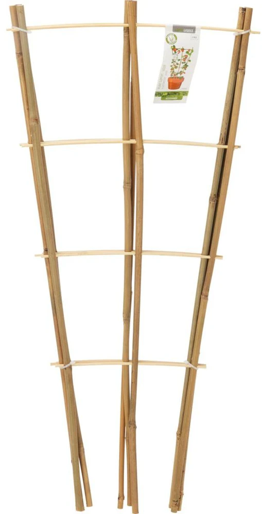 ProGarden bambukinės laiptuotos augalų atramos 75 cm 3 vnt