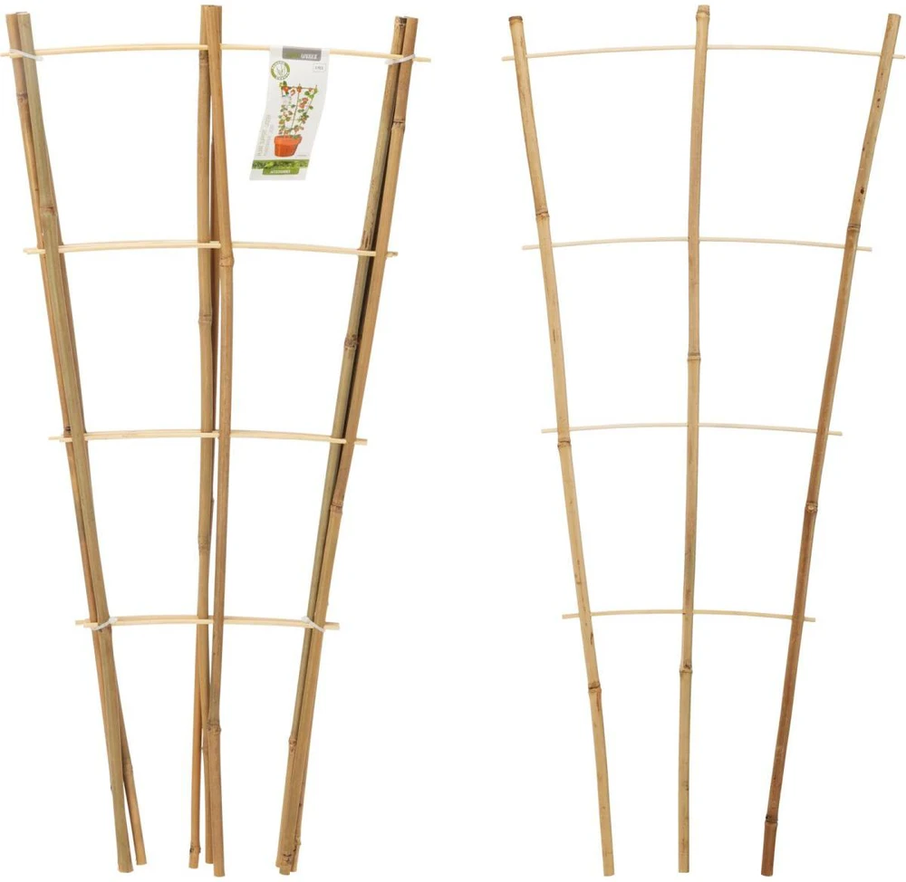 ProGarden bambukinės laiptuotos augalų atramos 75 cm 3 vnt