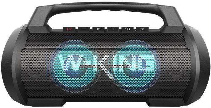 W-KING D10 60W nešiojama kolonėlė