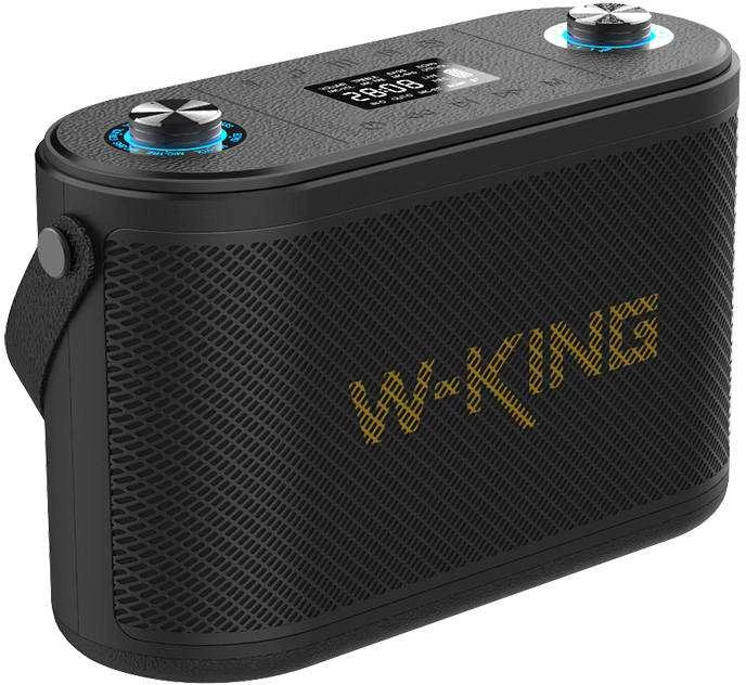 W-KING H10 120W nešiojama kolonėlė