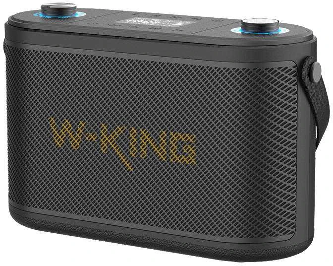 W-KING H10 120W nešiojama kolonėlė