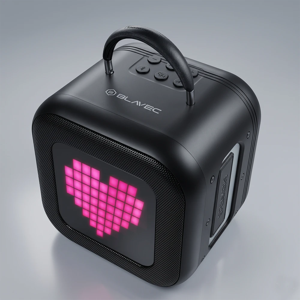 Blavec nešiojama kolonėlė Bluetooth WS-09 Karaoke Fun – 10W su 2 mikrofonais (WS09-2MB) juodos spalvos
