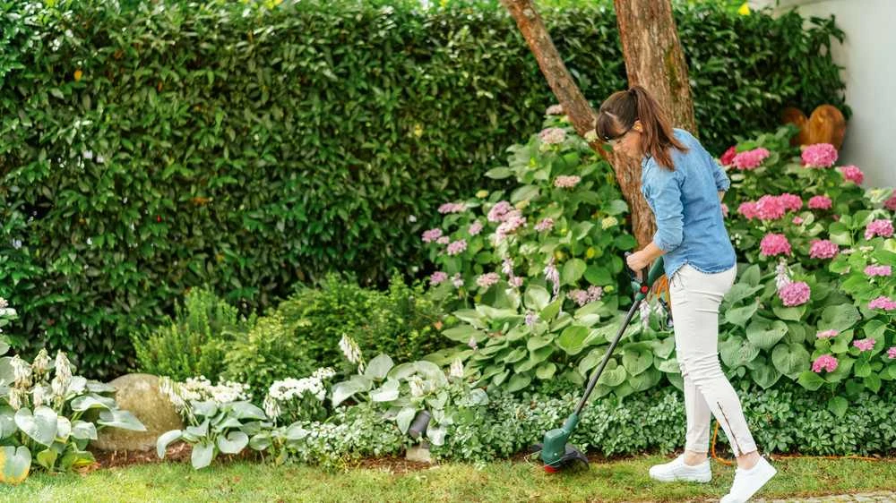 Akumuliatorinė žoliapjovė Bosch Easy GrassCut 18V-26 solo (be akumuliatoriaus ir kroviklio)