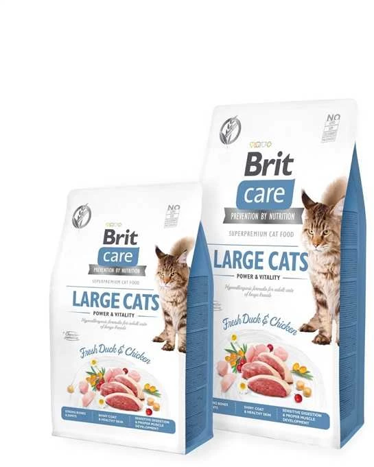 Brit Care Cat GF Large cats Power&Vitality sausas maistas katėms 0,4kg