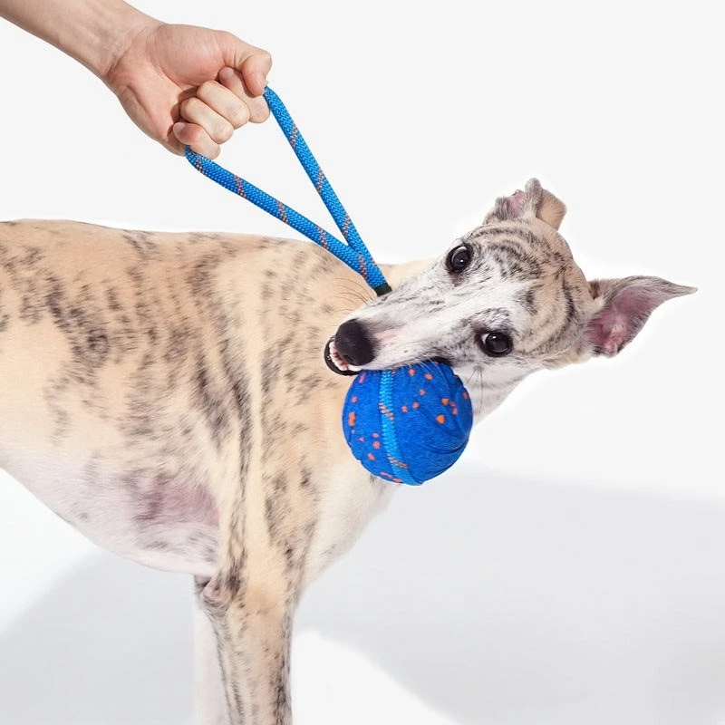 Carruzzo Cheerble Wicked Ball Air Rope