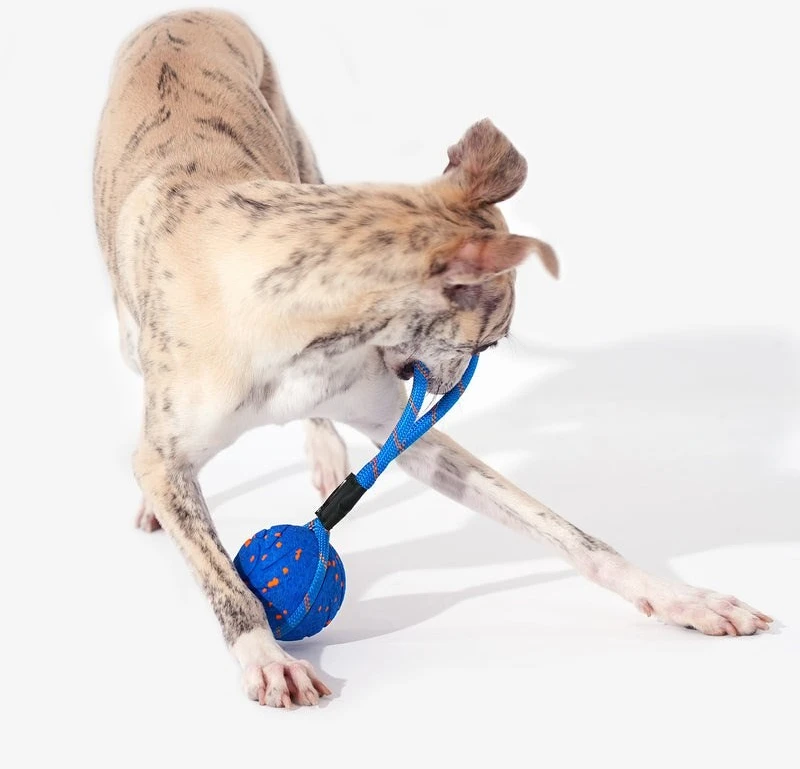 Carruzzo Cheerble Wicked Ball Air Rope
