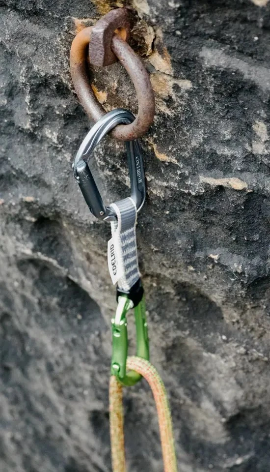 Carruzzo Edelrid 737910106270 laipiojimo karabinas Fiksuojamasis karabinas D formos Žalia, Pilka 6 vnt