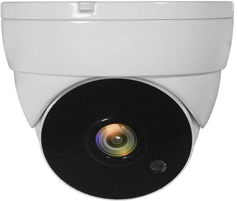 Level One Carruzzo LevelOne ACS-5302 apsaugos stebėjimo kamera Skliautas CCTV stebėjimo kamera Vidaus ir lauko Lubos