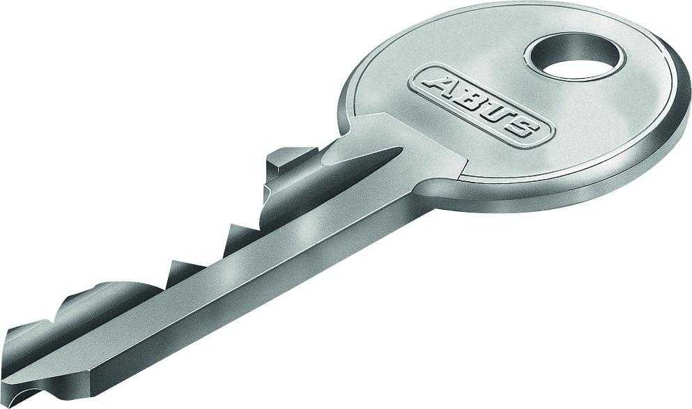 Cilindras Abus E50N, (din) standarto, 10 – 30 mm, pilka