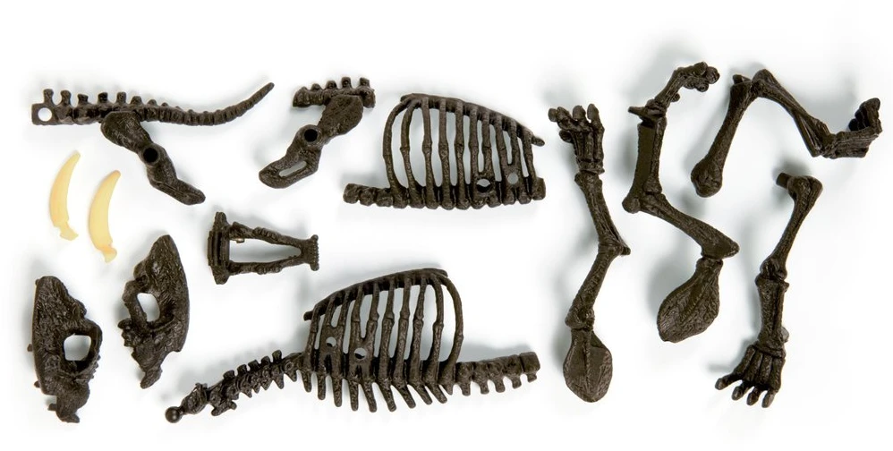 Clementoni Smilodon pastatykite tigro skeletą