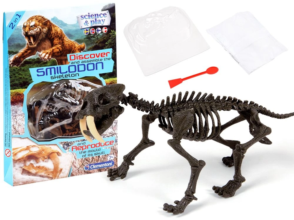 Clementoni Smilodon pastatykite tigro skeletą