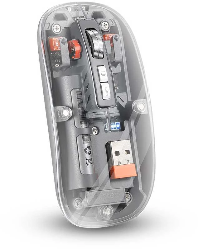 Cliptec pelė kompiuteriui Transparent RZS630 Optinė belaidė 1600DPI
