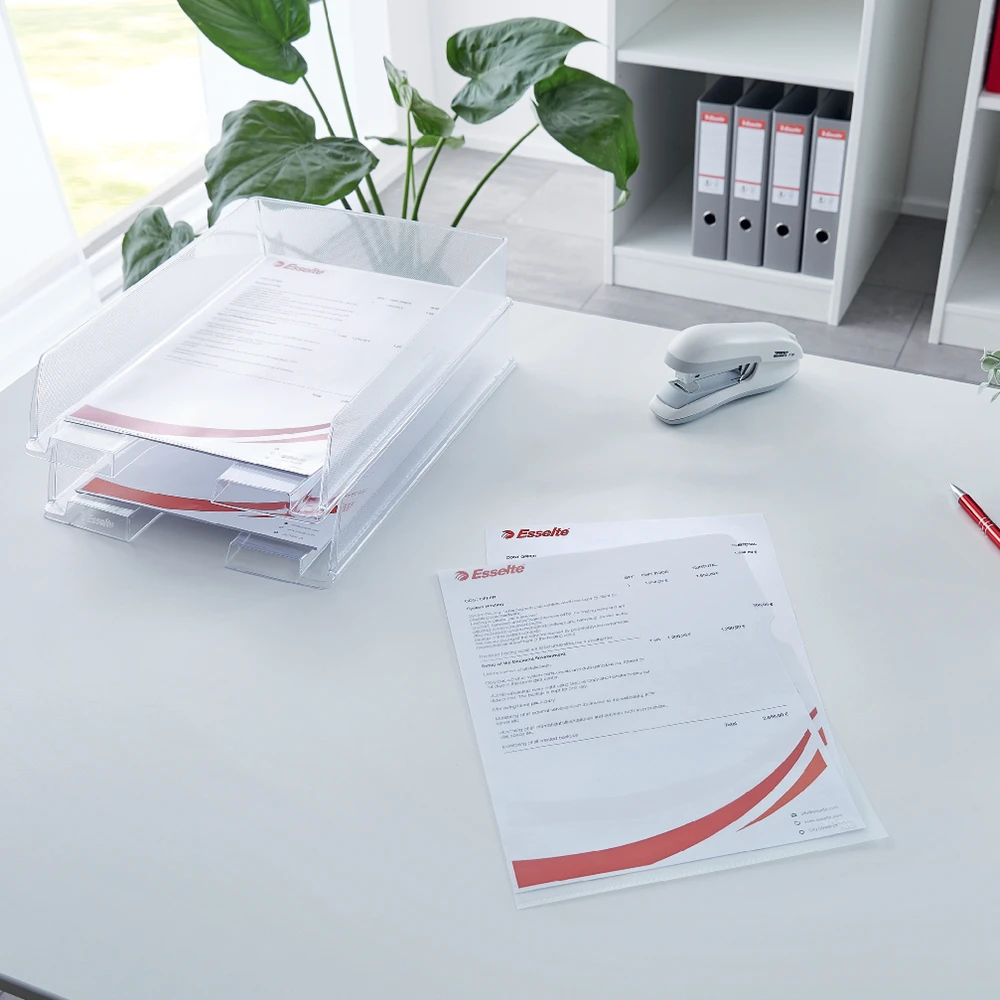 Leitz Dėklas dokumentams Esselte, A4,L formos, 115 mikr., matinis, 10vnt