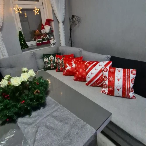 Kalėdinis dekoratyvinių pagalvėlių užvalkalų rinkinys 45x45xcm Ruhhy 24827